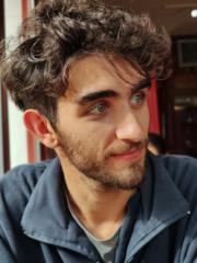 Santiago Festini