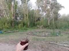 Marianina Giovagnoli