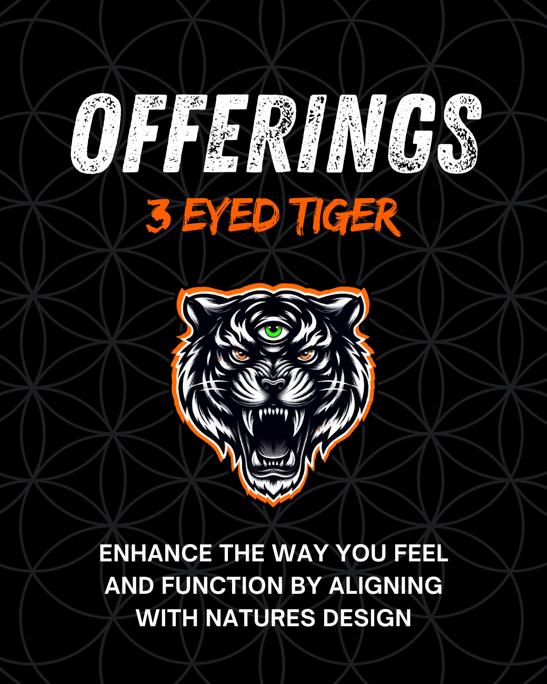 Three Eyed Tiger