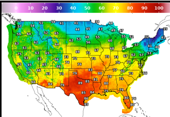 Rainy Day Wholesale Tips