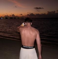 Dominic Norvilas