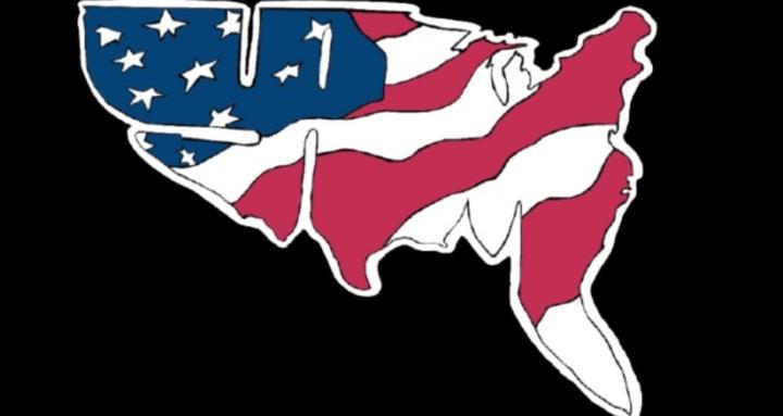 Young Americana Mation