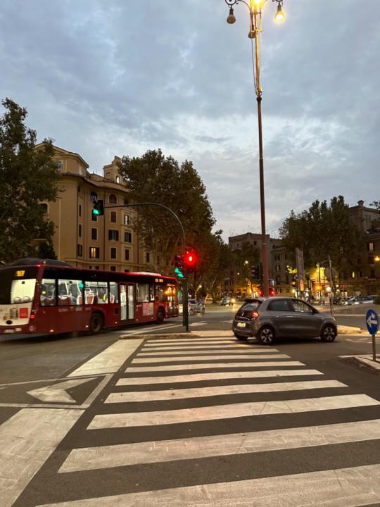 Dovydas Čekanavičius