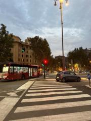 Dovydas Čekanavičius