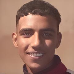 Ali Maouar