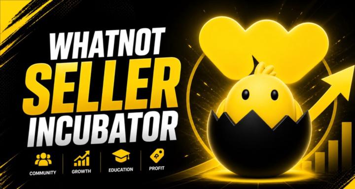 Whatnot Seller Incubator
