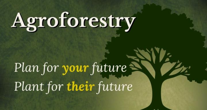 Agroforestry