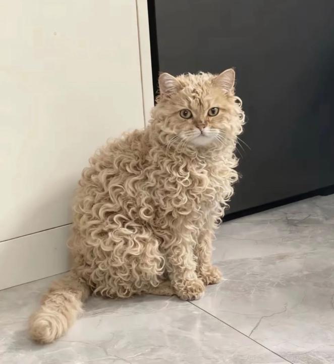 Fatimaezzahra Boufqir