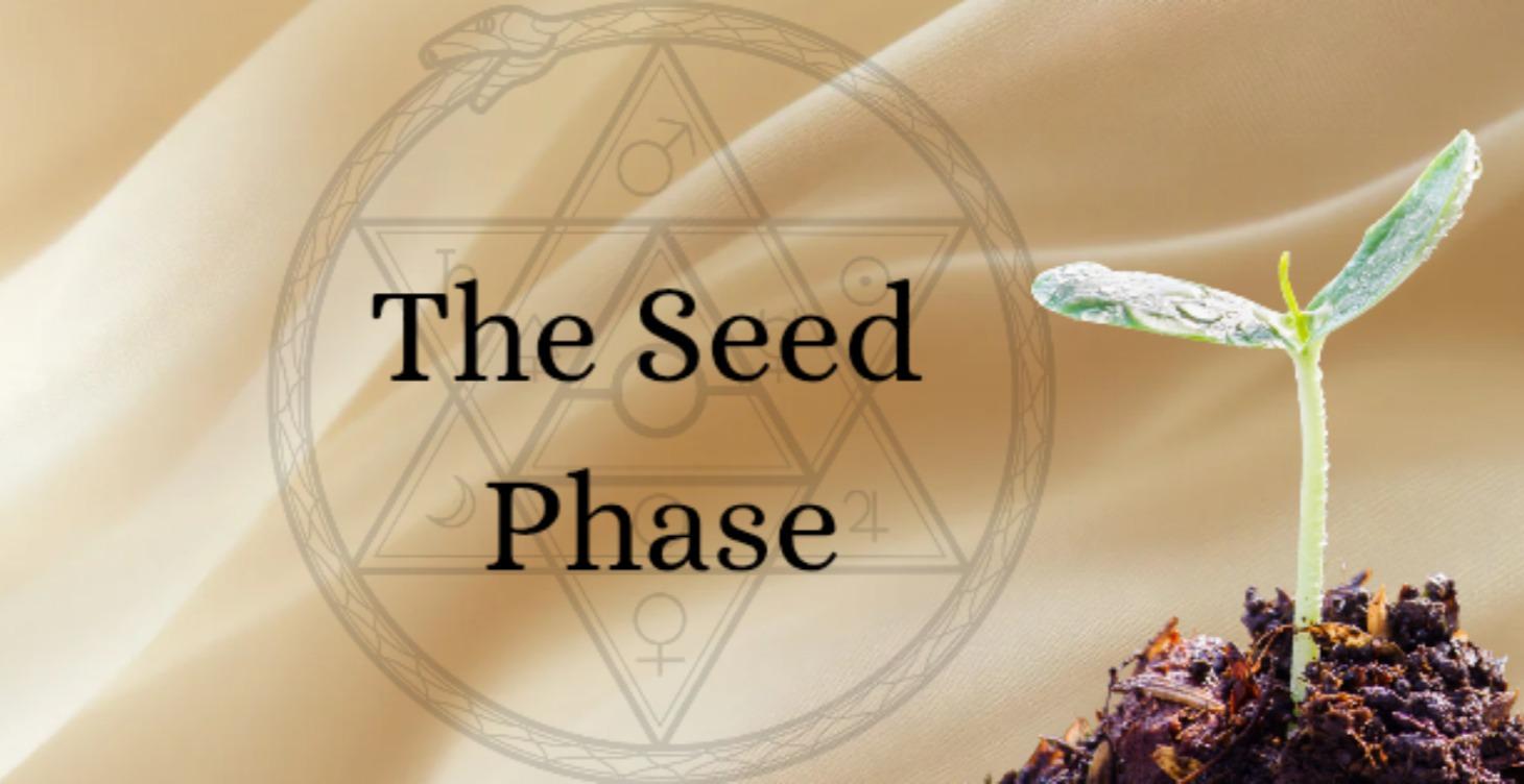 The Seed In The Dark