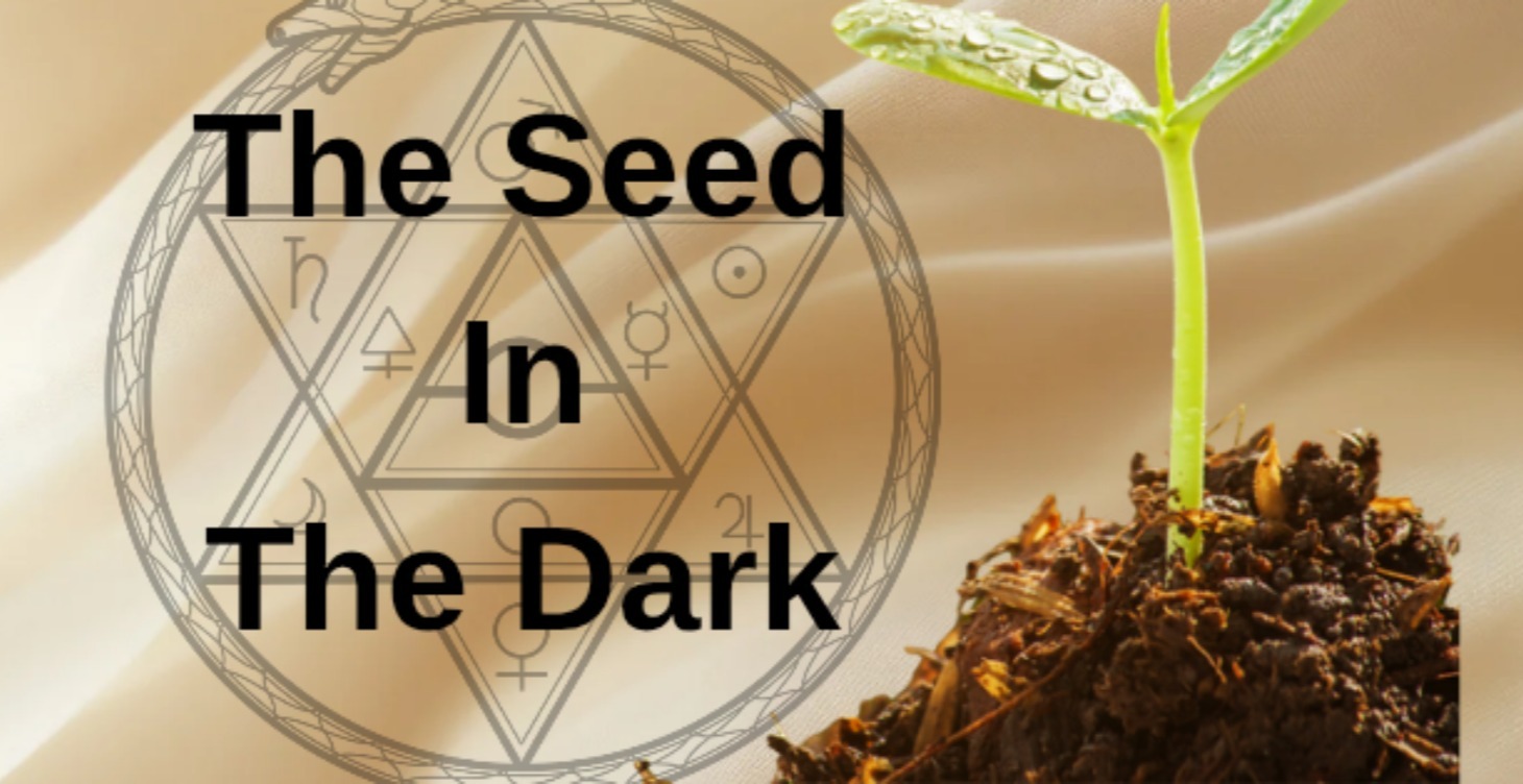 The Seed In The Dark
