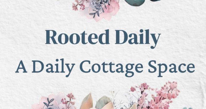 Rooted Daily Bible Study