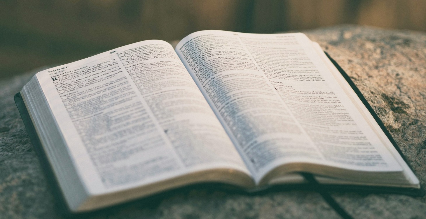 Bible Study- Genesis Video Series