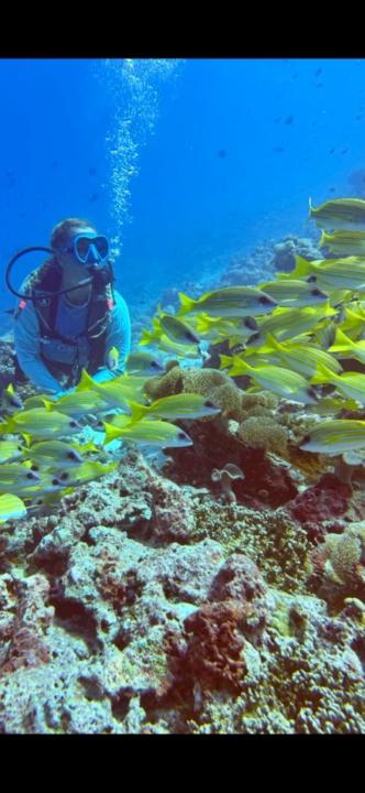 Aleksandra Mielenczuk