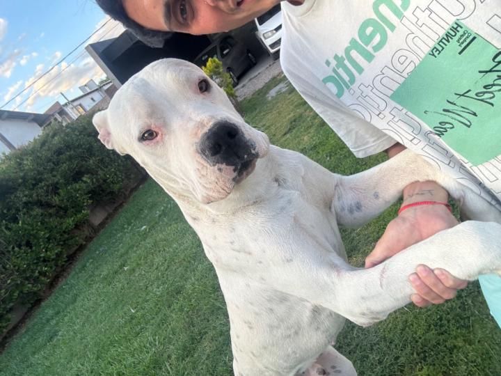 Juan Ignacio Ibáñez