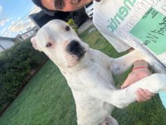 Juan Ignacio Ibáñez