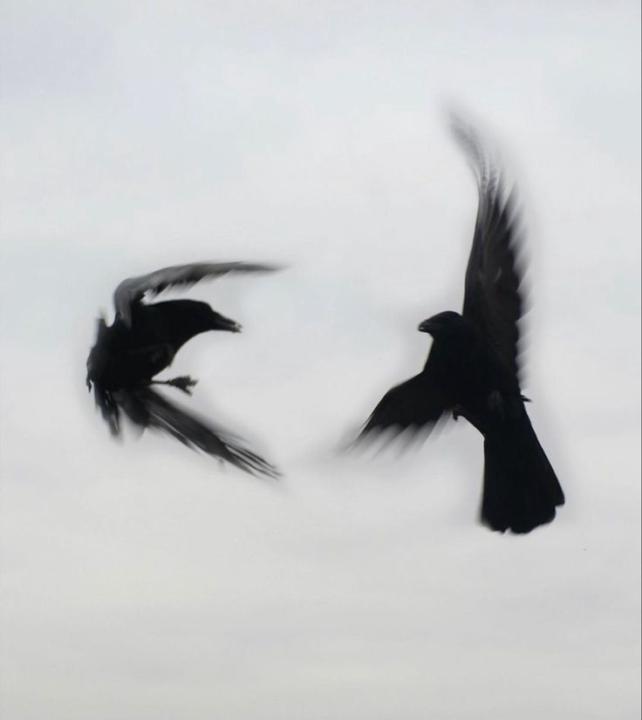 Haider Ibrahem