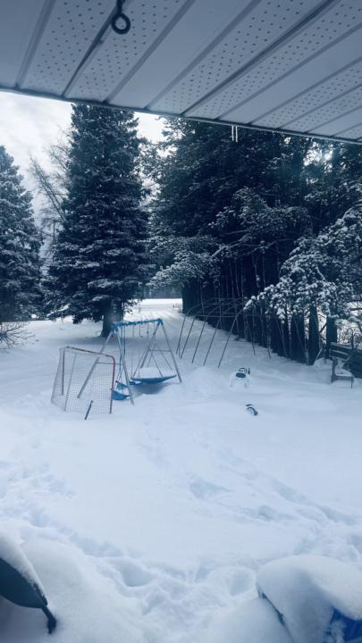 Creed: Viking Cologne