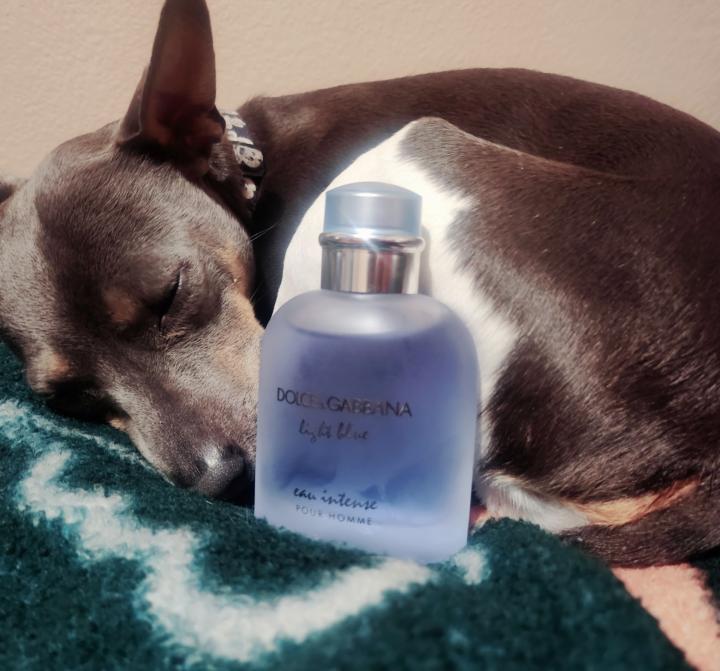 Light Blue Eau Intense by D&G