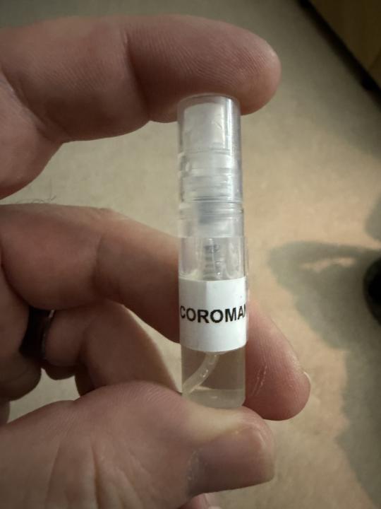 Sample of the night Chanel Coromandel