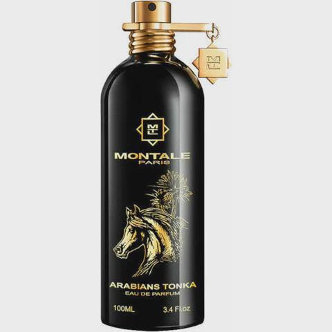Slay of the day - Montale Arabians Tonka