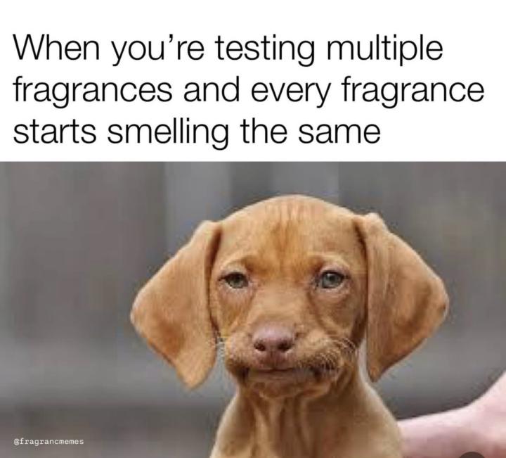 Hate when this happens. Just best to go home at this point. 