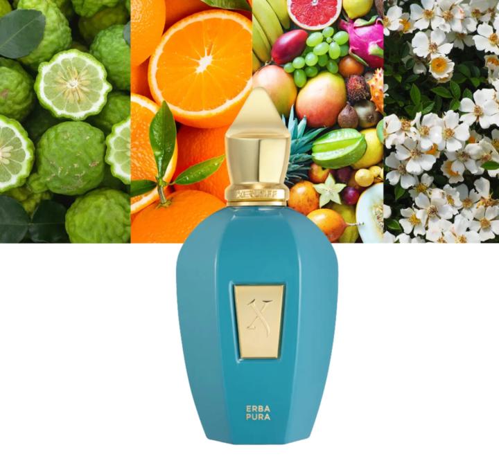 🌿 Xerjoff Modern Masculines – Niche Powerhouses on Sale
