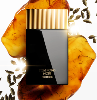 SOTE- Tom Ford Noir Extreme