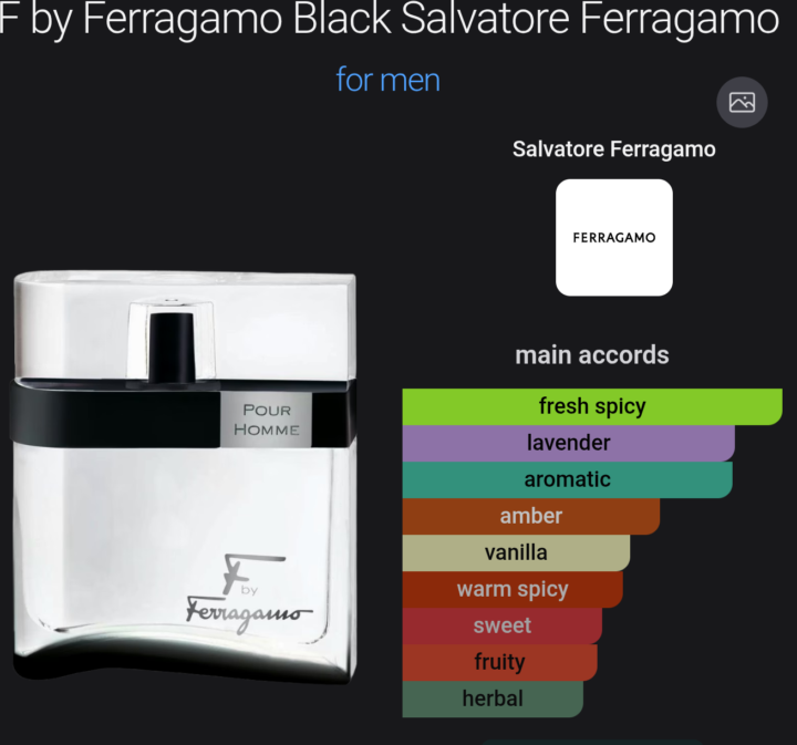F Black by Ferragamo
