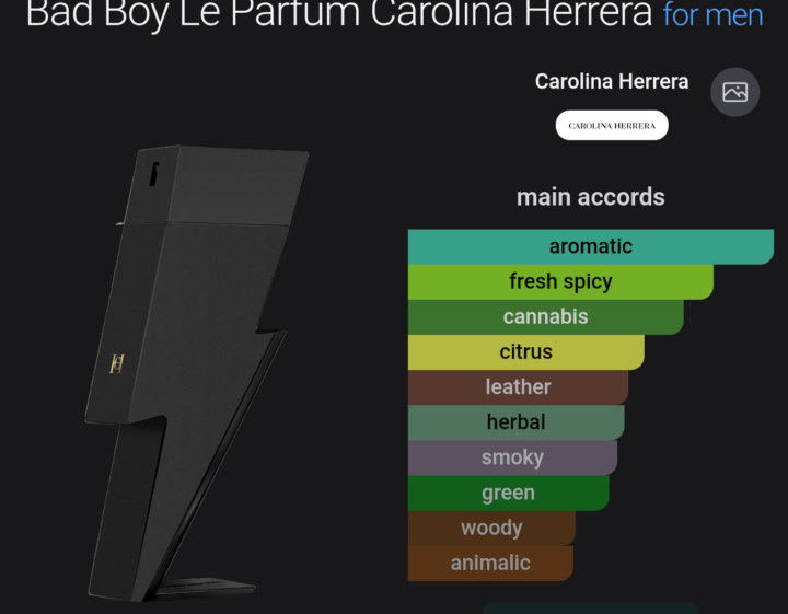 SOTY Bad Boy le Parfum 