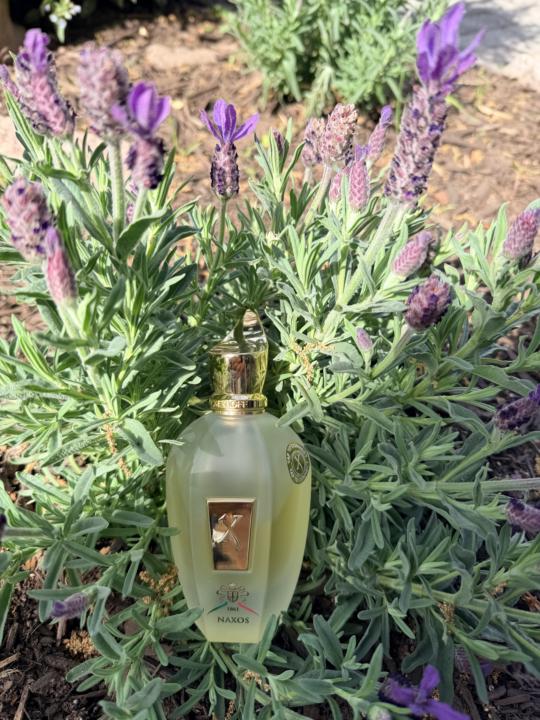 SOTD-Naxos