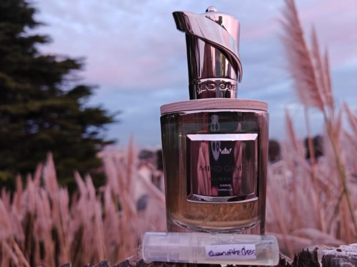 Dua Queen of Chess vs Mind Games Queening