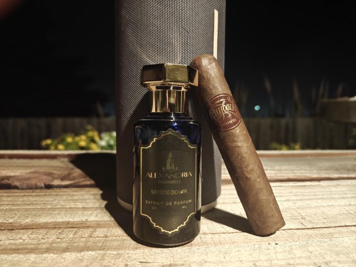 SOTE - Alexandria Upside Down