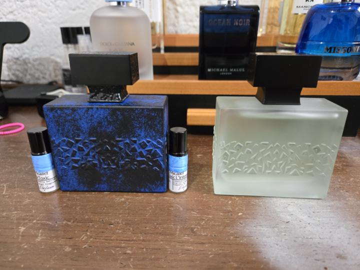 New addition! But unsure of what exactly I got 😅