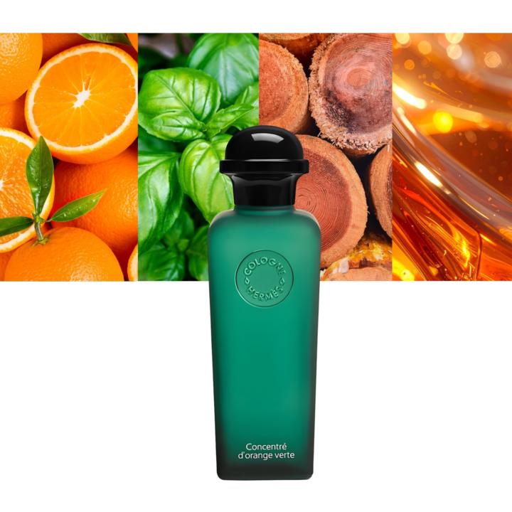 🌿 Hermès & Fresh Classics – Effortless Elegance on Sale