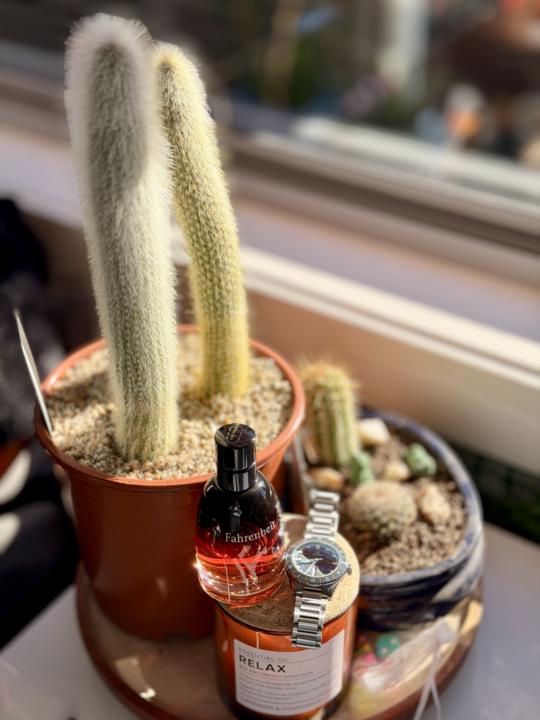 SOTD - Tuesday 14 April