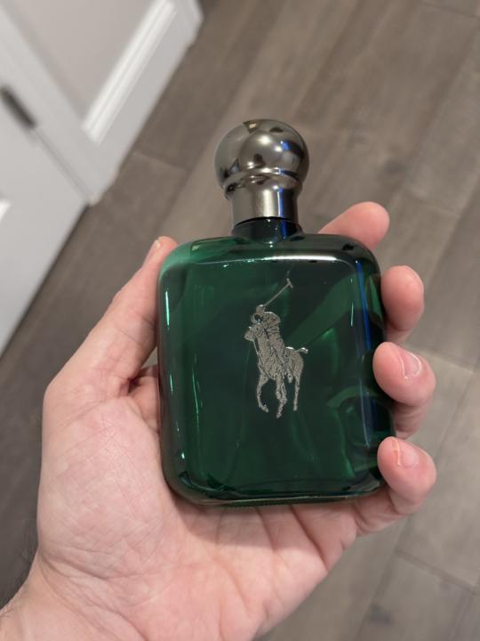 Polo green intense // RL