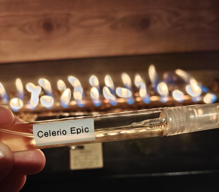 SOTD - Dumont Celerio Epic