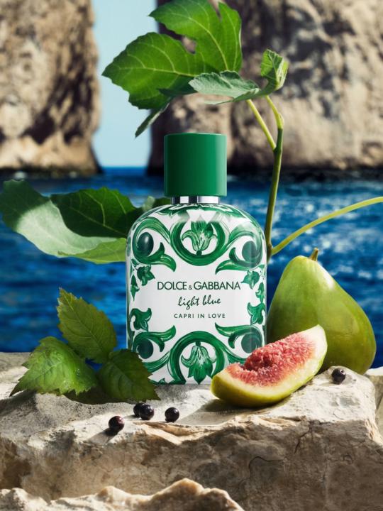 New Dolce & Gabbana 