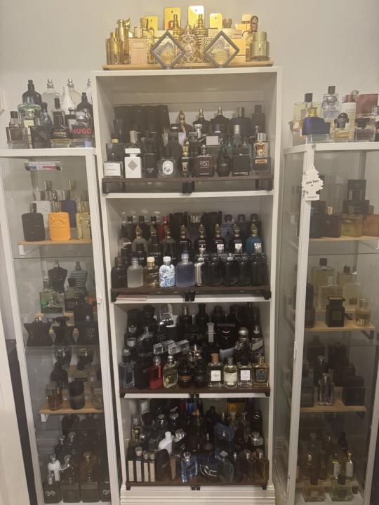 My Entire Collection 