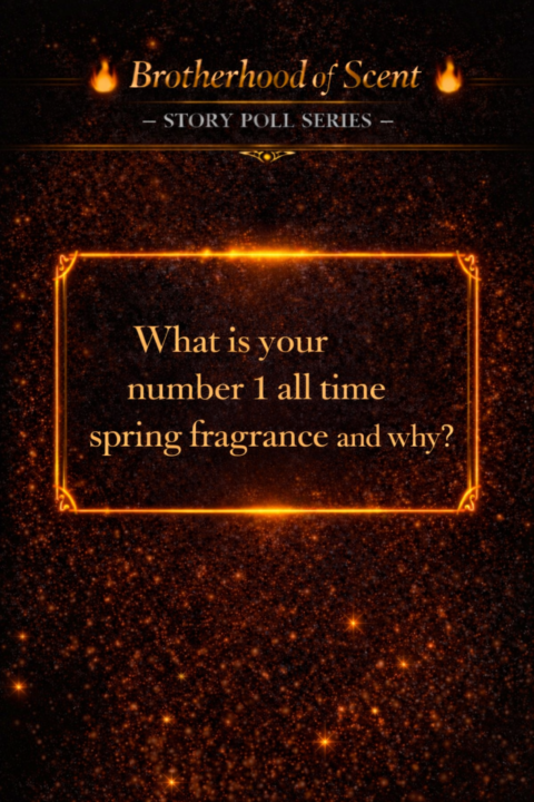 BOS Story Poll Question 15