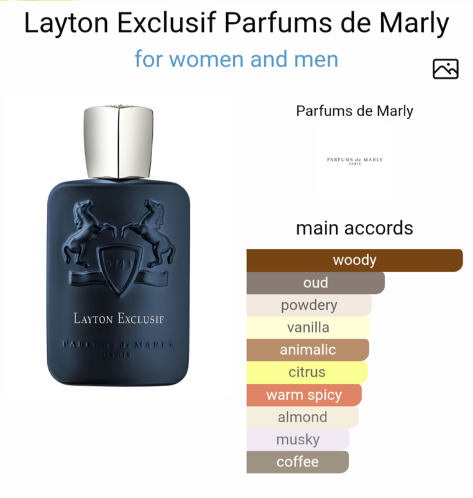 Layton exclusiff 