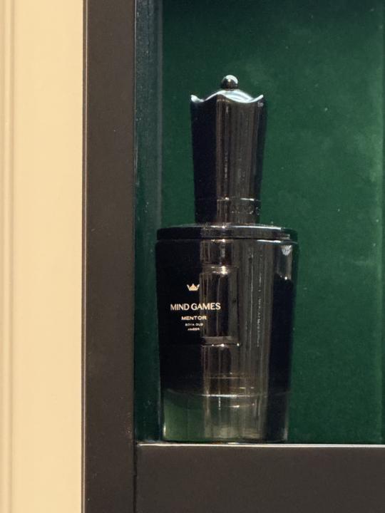 Mentor by Mind Games