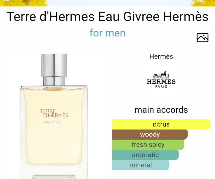 Terre De Hermes eau Givree