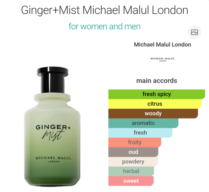 Micheal Malul Ginger + Mist