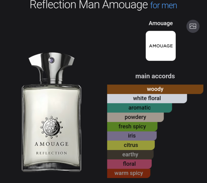 SOTY Reflection Man 