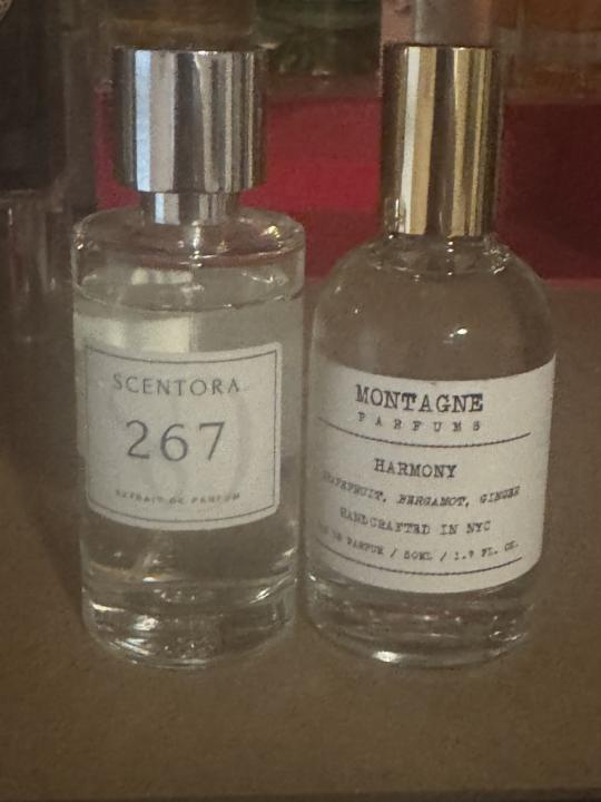 SOTE AND AFTERNOON: Montagne Harmony  and Later Scentora 267 Dupes of LV Symphony.