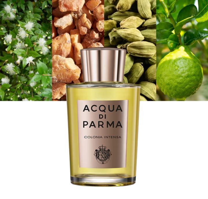 🔥 Acqua di Parma Steal Sale — Up to 64% OFF! 🔥