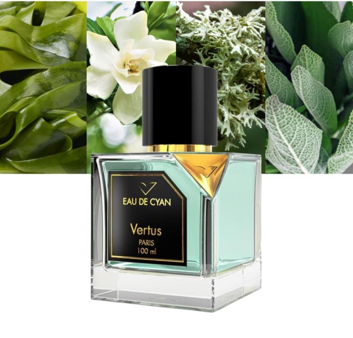 Vertus Paris — Mindblowing Sale: Up to 72% OFF