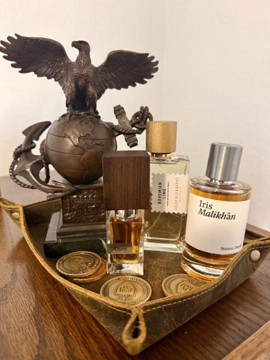 Surprise, Surprise, Surprise