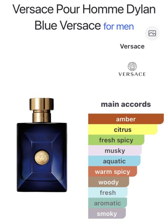 Versace Pour Homme Dylan Blue 